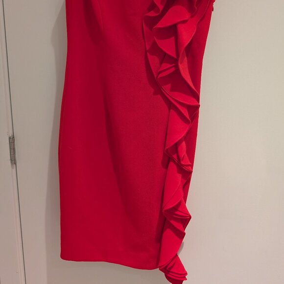 Teri Jon Fuschia Dress - Size 2 - Picture 6 of 6